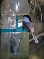 ������_������� ������ ��������_�������